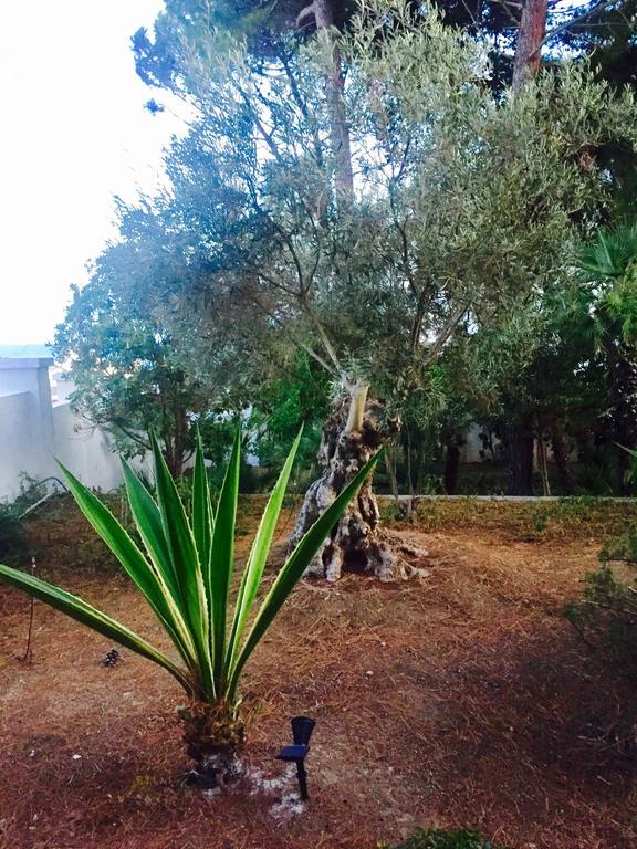 Villa Le Due Pigne (Adults Only) Taranto Esterno foto