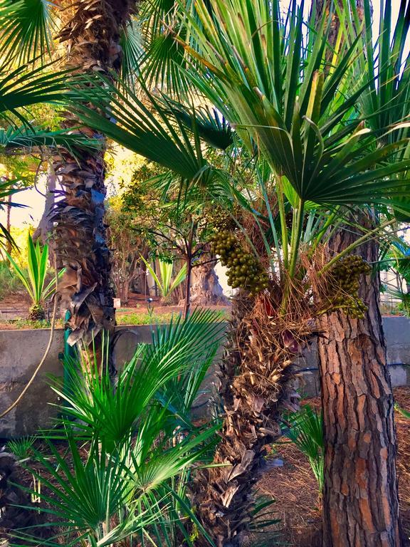 Villa Le Due Pigne (Adults Only) Taranto Esterno foto