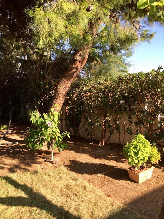 Villa Le Due Pigne (Adults Only) Taranto Esterno foto